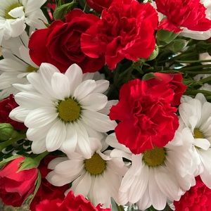 Meet your Posher, Meagan